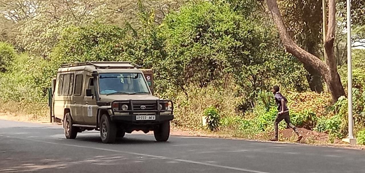 Lodge Safari Camp Karatu