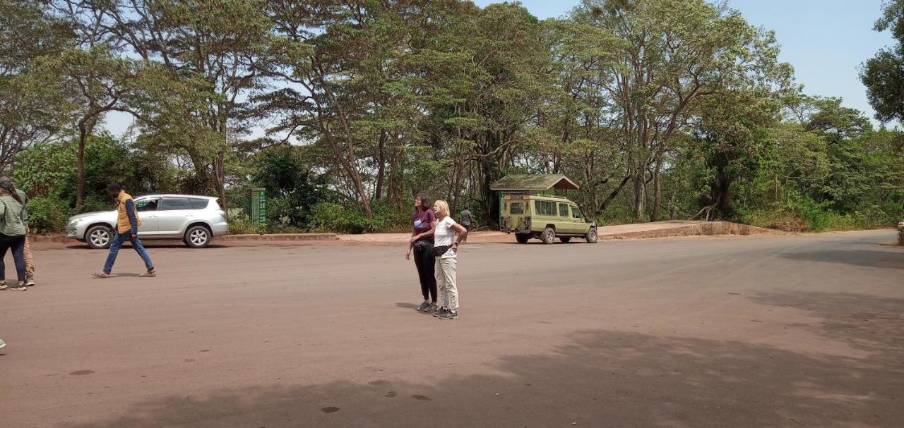 Lodge Safari Camp