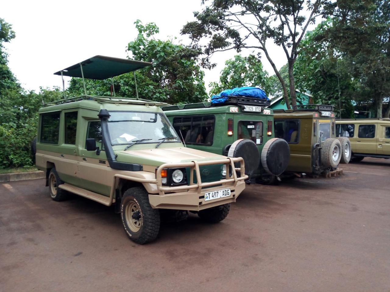 Safari Camp