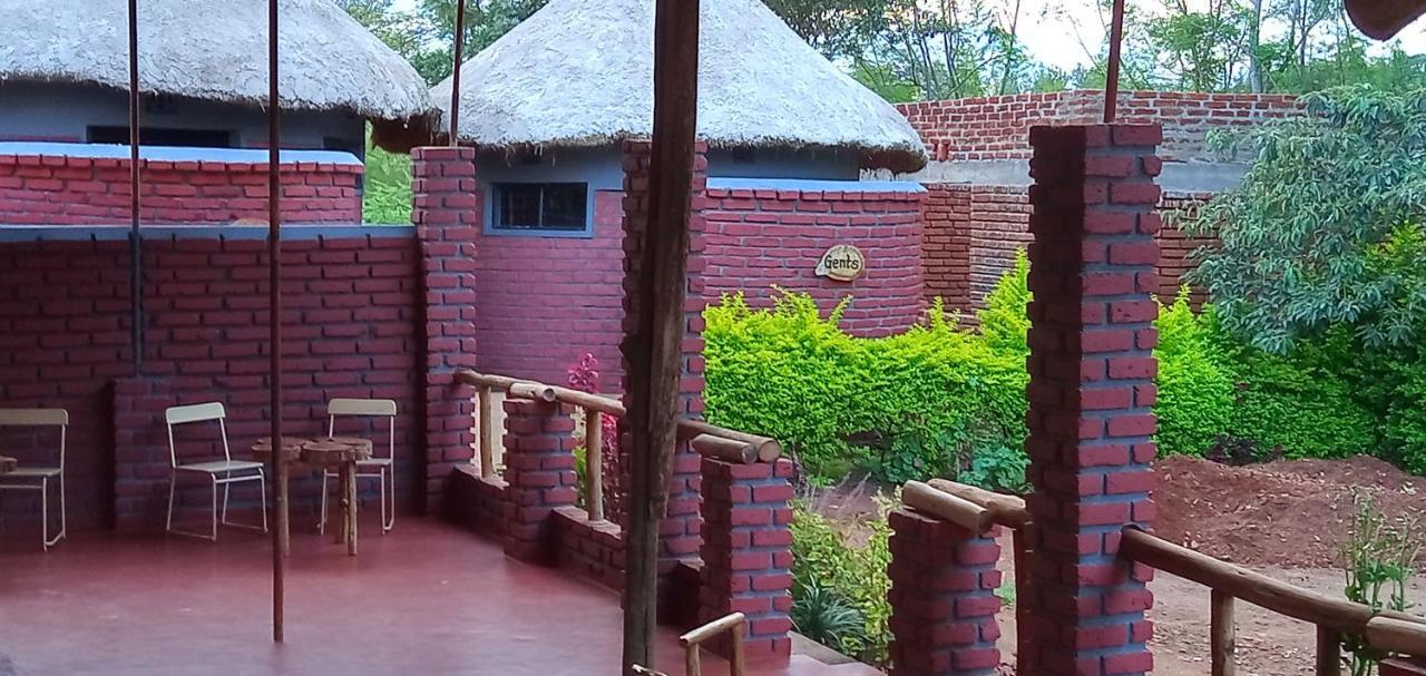 Safari Camp *