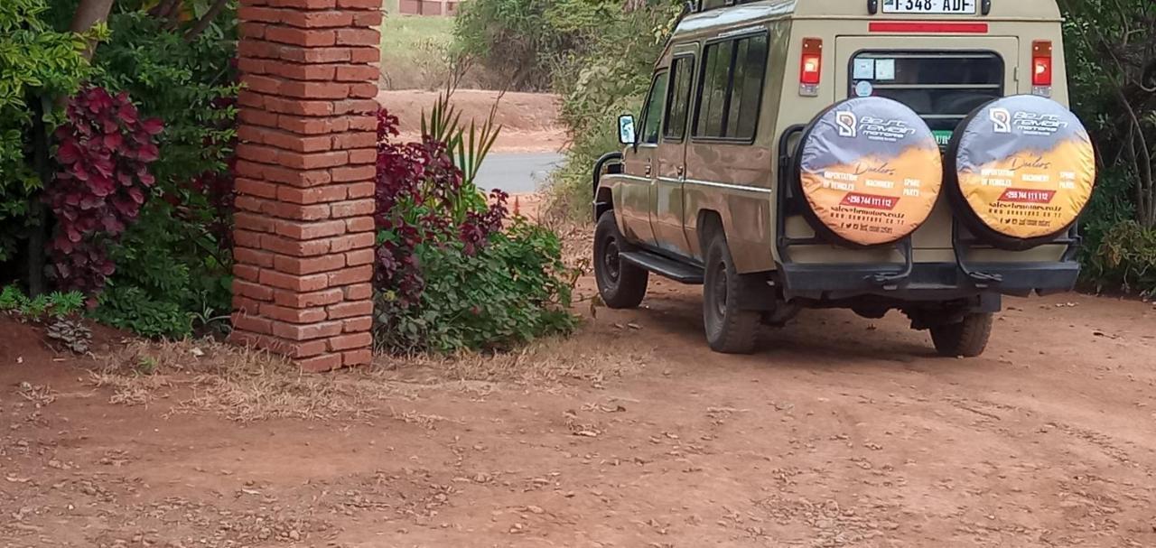 Safari Camp *