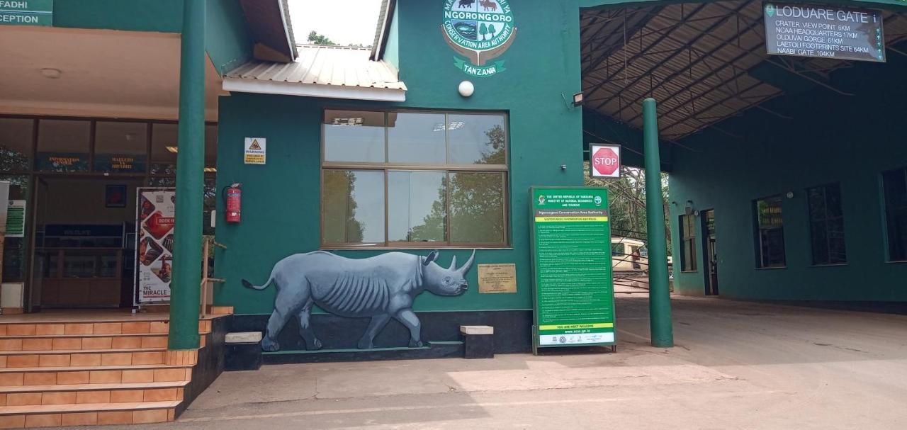 Lodge Safari Camp *
