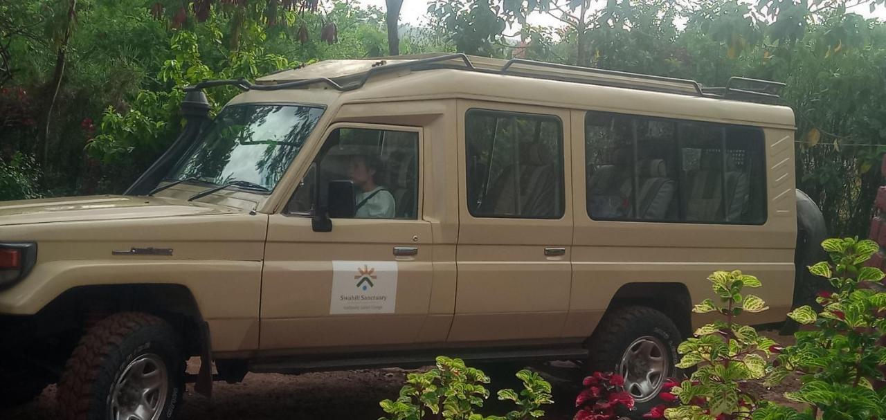 Safari Camp *