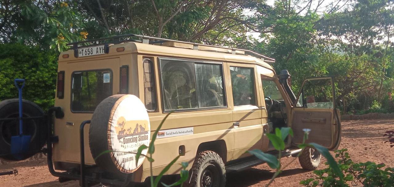 Safari Camp *